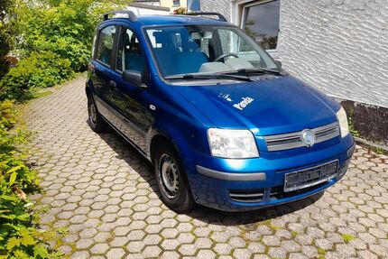 Fiat Panda Gebrauchtwagen