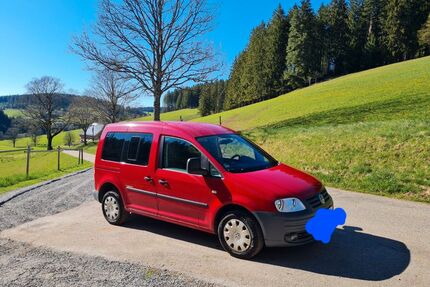 VW Caddy Gebrauchtwagen