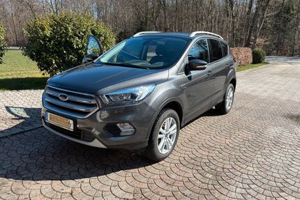 Ford Kuga Gebrauchtwagen