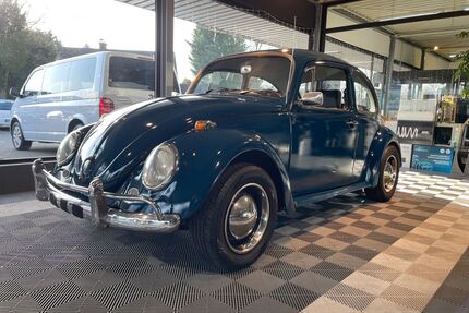 VW Käfer Gebrauchtwagen