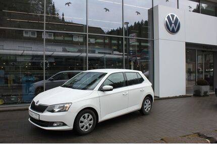 Skoda Fabia Gebrauchtwagen