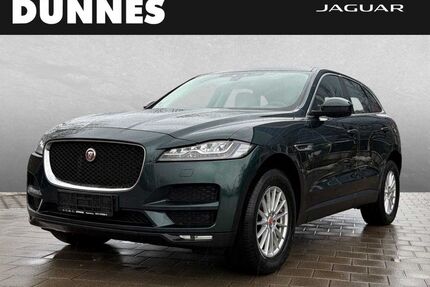 Jaguar F-Pace Gebrauchtwagen