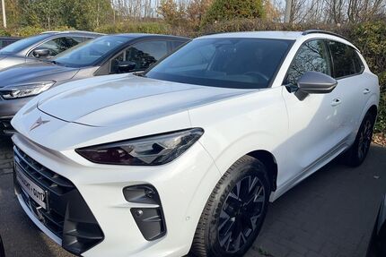 Cupra Terramar Gebrauchtwagen