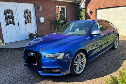 Audi S5 Gebrauchtwagen