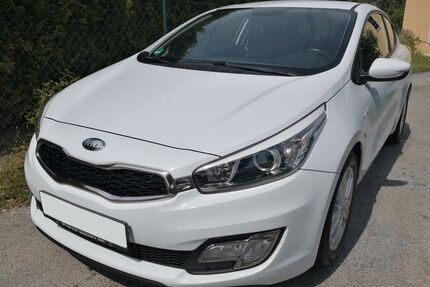 Kia ceed / Ceed Gebrauchtwagen