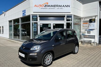 Fiat Panda Gebrauchtwagen