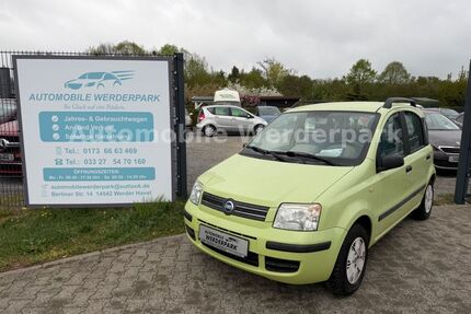 Fiat Panda Gebrauchtwagen