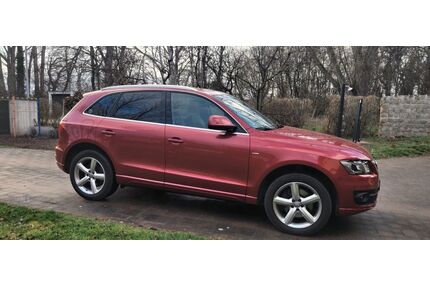 Audi Q5 Gebrauchtwagen