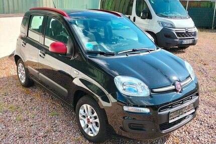 Fiat Panda Gebrauchtwagen