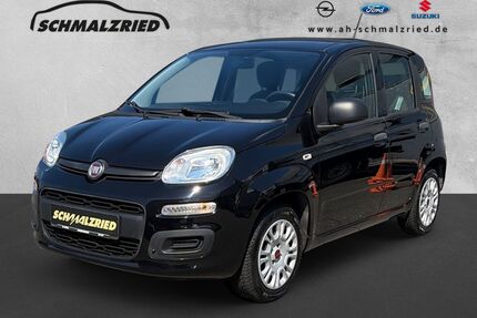 Fiat Panda Gebrauchtwagen