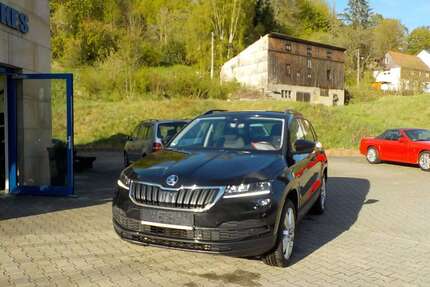 Skoda Karoq Gebrauchtwagen