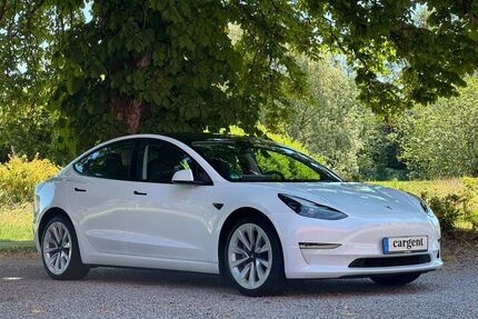 Tesla Model 3 Gebrauchtwagen