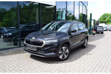 Skoda Karoq Gebrauchtwagen