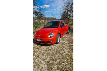 VW Beetle Gebrauchtwagen