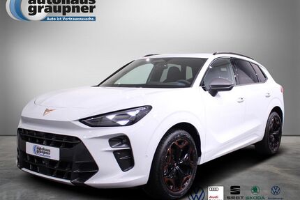 Cupra Terramar Gebrauchtwagen