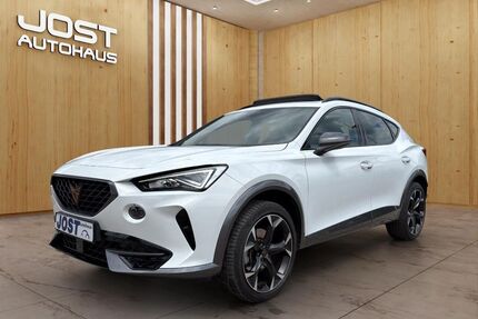 Cupra Formentor Gebrauchtwagen