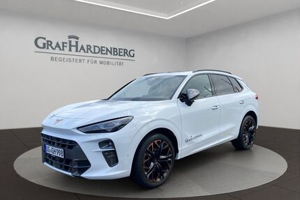 Cupra Terramar Gebrauchtwagen