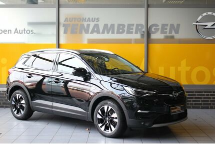 Opel Grandland (X) Gebrauchtwagen