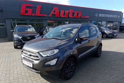 Ford EcoSport Gebrauchtwagen