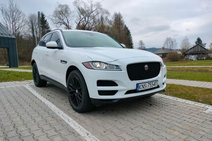 Jaguar F-Pace Gebrauchtwagen