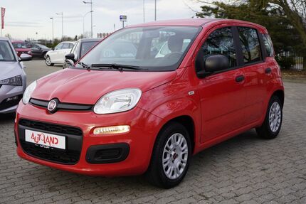 Fiat Panda Gebrauchtwagen