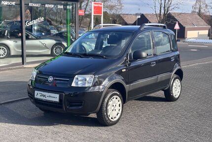 Fiat Panda Gebrauchtwagen