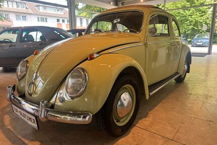 VW Käfer Gebrauchtwagen