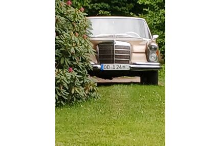 Mercedes-Benz 250 Gebrauchtwagen