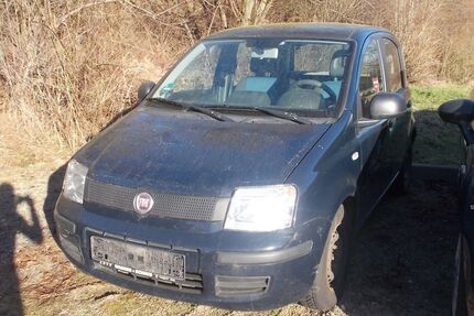 Fiat Panda Gebrauchtwagen
