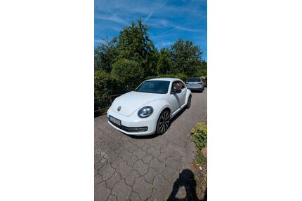 VW Beetle Gebrauchtwagen
