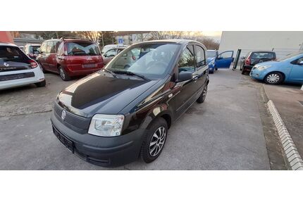 Fiat Panda Gebrauchtwagen