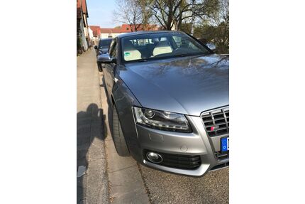 Audi S5 Gebrauchtwagen