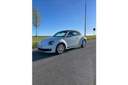 VW Beetle Gebrauchtwagen