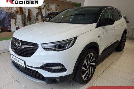 Opel Grandland (X) Gebrauchtwagen