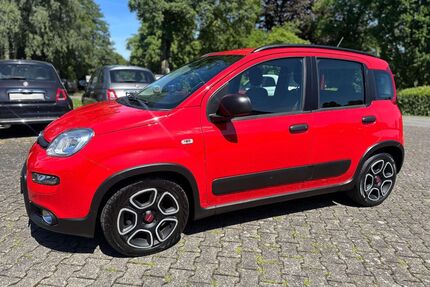 Fiat Panda Gebrauchtwagen