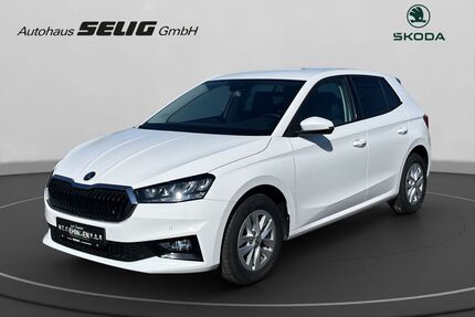 Skoda Fabia Gebrauchtwagen