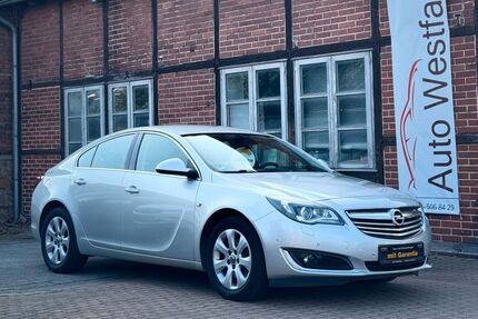 Opel Insignia Gebrauchtwagen