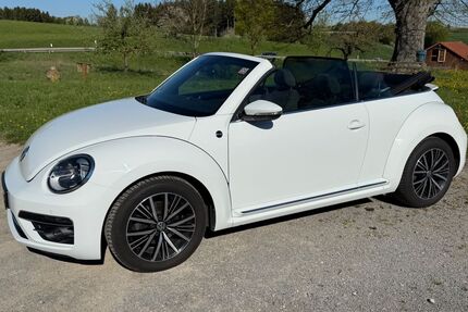 VW Beetle Gebrauchtwagen