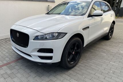 Jaguar F-Pace Gebrauchtwagen