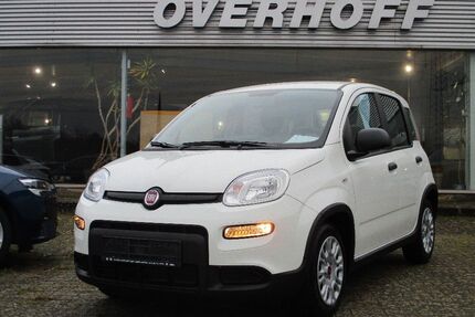 Fiat Panda Gebrauchtwagen