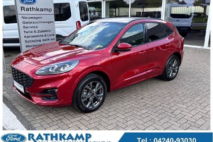 Ford Kuga Gebrauchtwagen