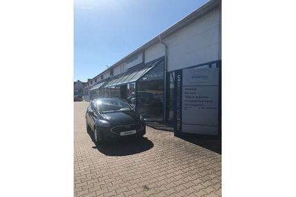 Ford Fiesta Gebrauchtwagen
