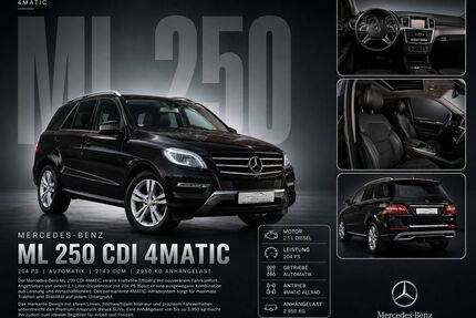 Mercedes-Benz ML 250 Gebrauchtwagen