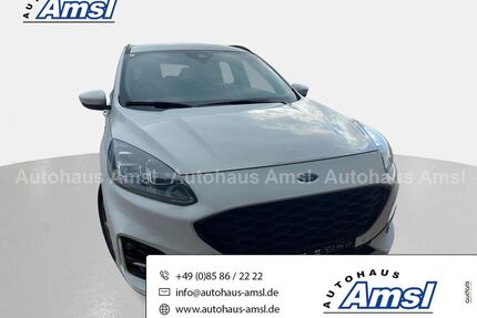 Ford Kuga Gebrauchtwagen