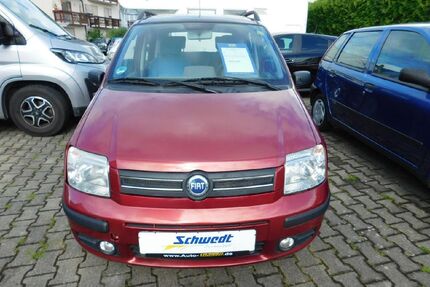 Fiat Panda Gebrauchtwagen
