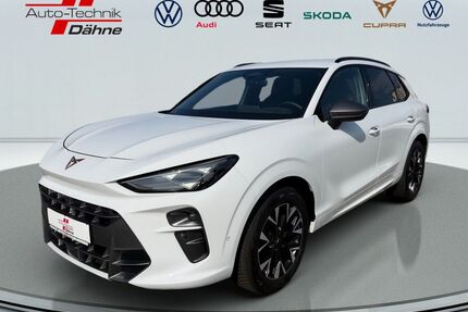 Cupra Terramar Gebrauchtwagen