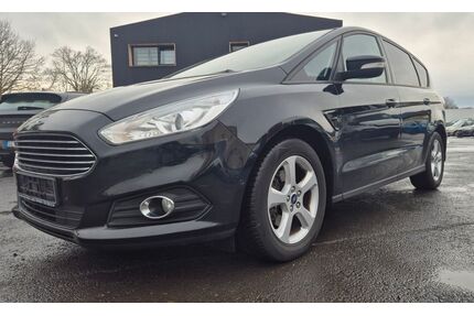 Ford S-Max Gebrauchtwagen