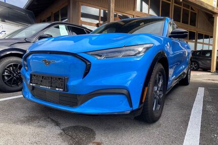 Ford Mustang Mach-E Gebrauchtwagen