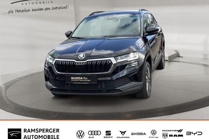 Skoda Karoq Gebrauchtwagen