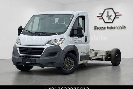 Fiat Ducato Gebrauchtwagen